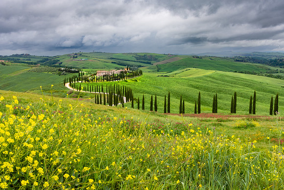 Podere Baccoleno