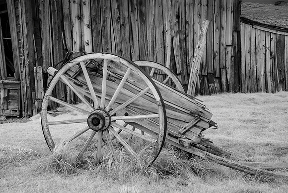 Bodie XI