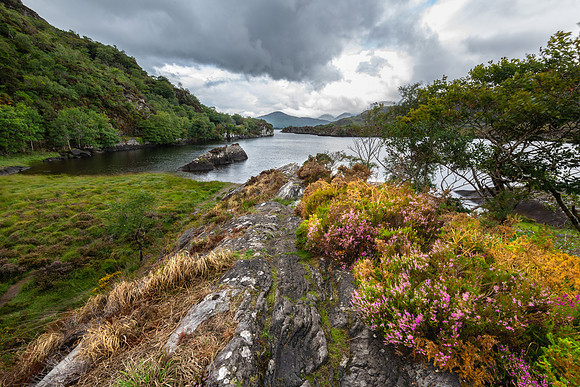 Killarney National Park, Ring of Kerry