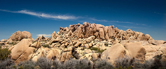 Joshua Tree NP