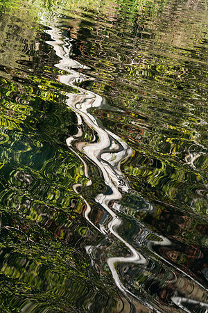 Fern Pool, Reflections