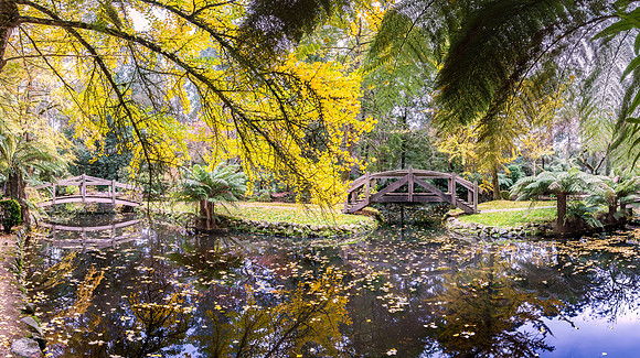 Autumn at Alfred Nicholas Gardens