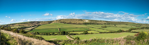 Chalk Downlands above Sutton Poyntz
