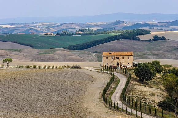 Tuscan Farm