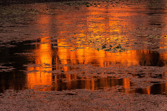 Ord River II, Kununurra, Sunrise