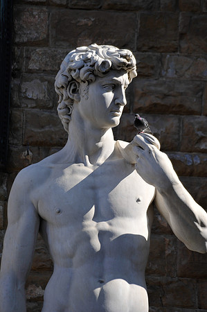David with Pigeon
