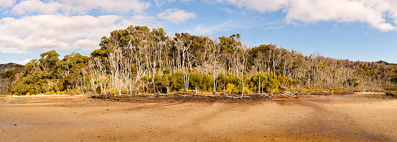 Millar's Landing Panorama