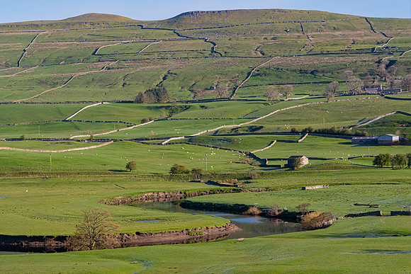 Wensleydale