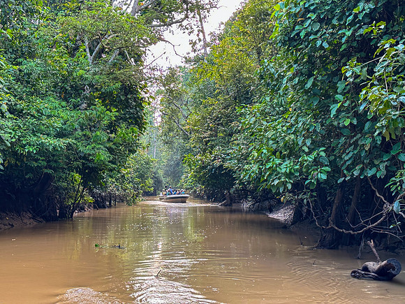 Kinabatagan Tributary