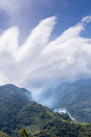 Land Clearance
