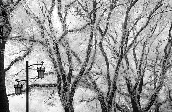 Park in Infra-Red Central Guilin