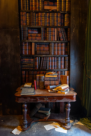 The Library III