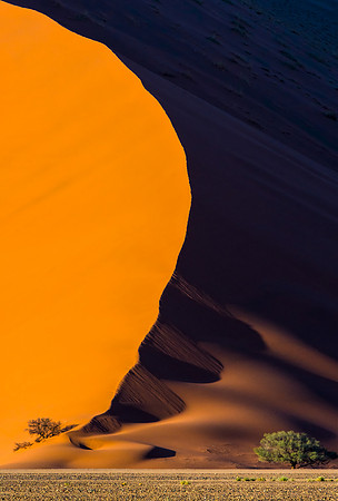 Dune.  By Gigi Williams