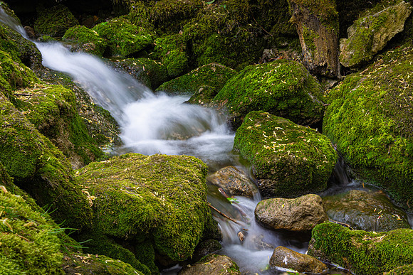Janet's Force 2, Yorkshire Dales