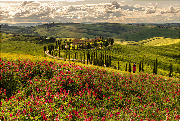 Afternoon Light, Baccoleno
