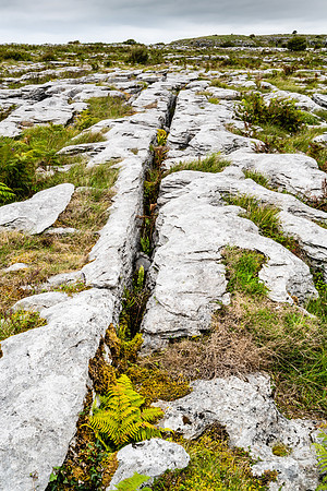 The Burren