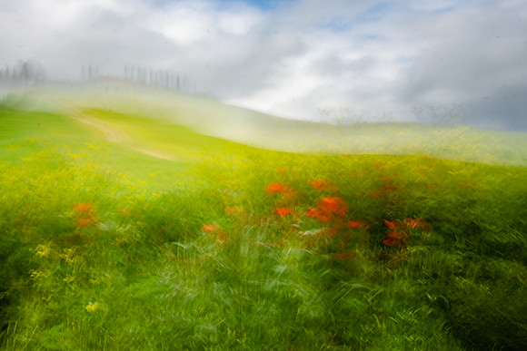 Impressions of Tuscany. By Gigi Williams.