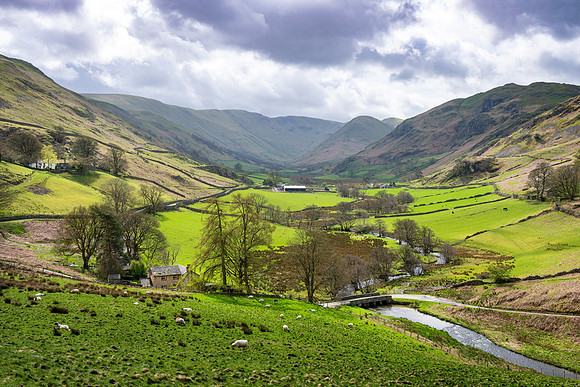 Martindale