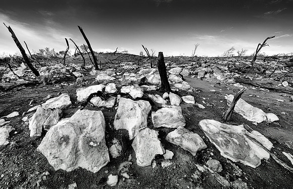 _2009496