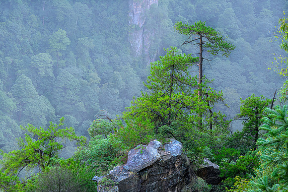 Zhangjiajie National Forest Park – Ten-Li Gallery  XVIII