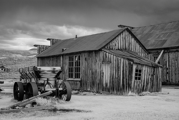 Bodie XVII