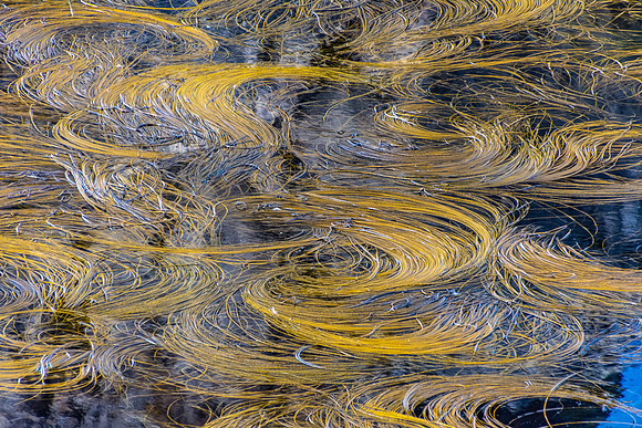 Ballintoy, Antrim Coast