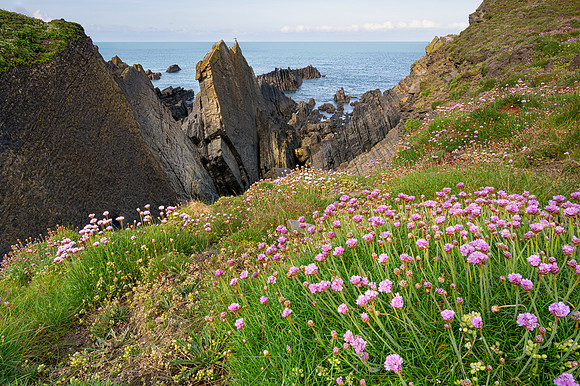 Hartland Quay