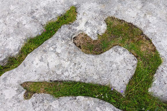 The Burren