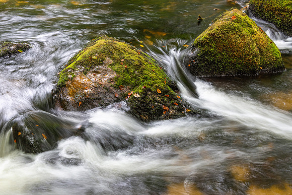 Golitha Falls, Cornwall