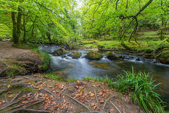 Golitha Falls, Cornwall