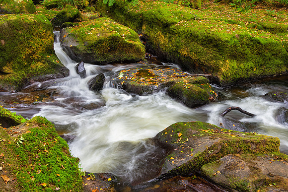 Golitha Falls, Cornwall
