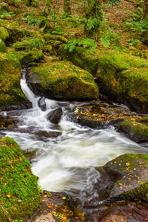 Golitha Falls, Cornwall