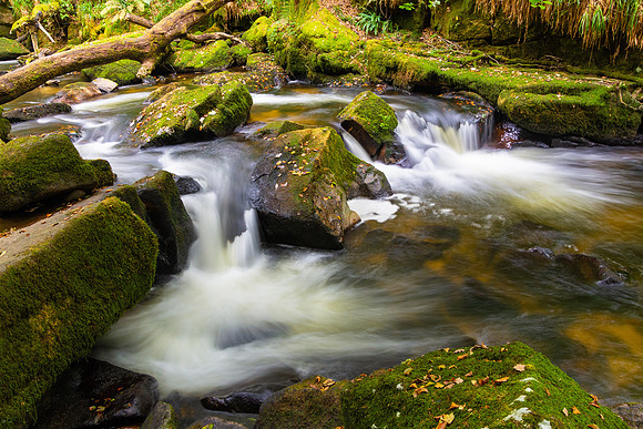 Golitha Falls, Cornwall