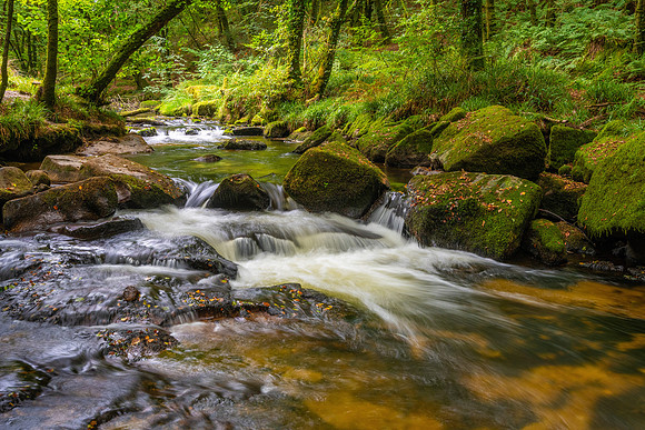 Golitha Falls, Cornwall