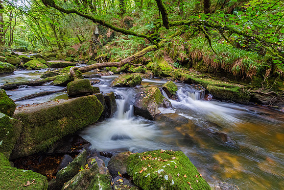 Golitha Falls, Cornwall