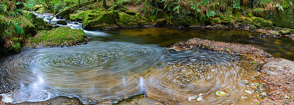 Golitha Falls, Cornwall