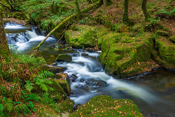Golitha Falls, Cornwall