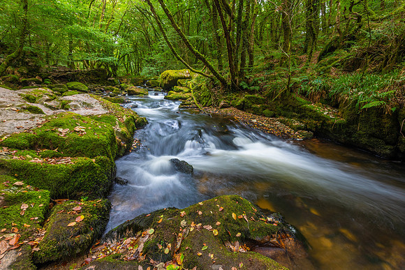 Golitha Falls, Cornwall