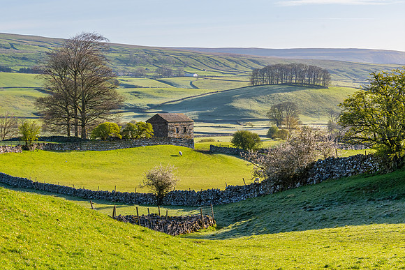 Wensleydale