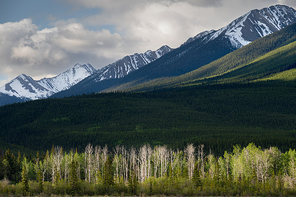 Vermillion Lakes VII, Banff NP