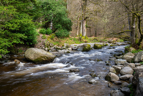 Aira Glen. Lake District