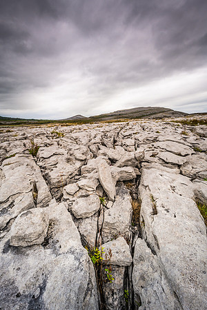 The Burren