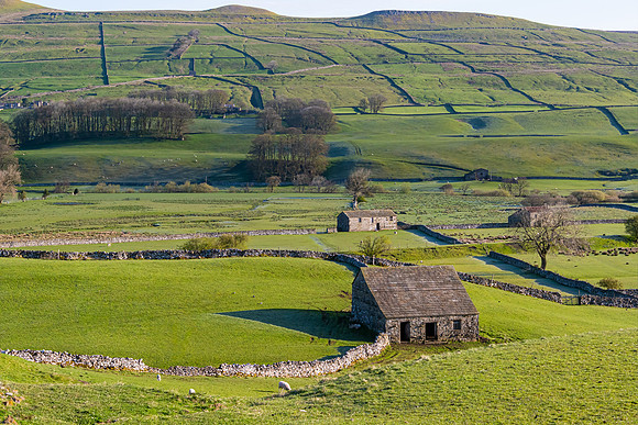 Wensleydale