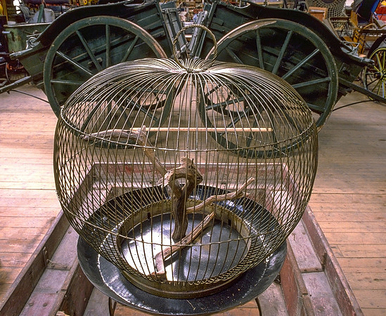 Cage gilded, bird deceased