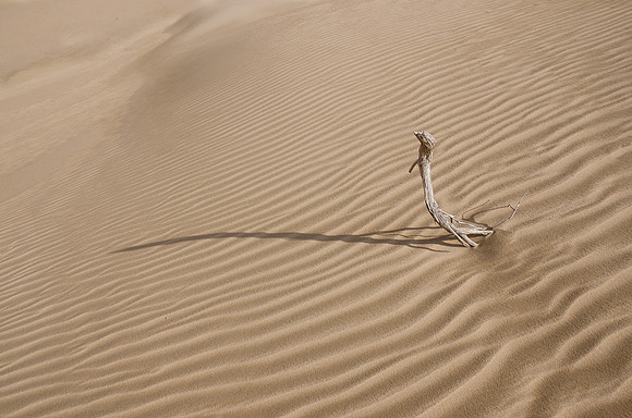 Sand Waves III