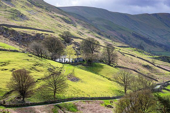 Martindale