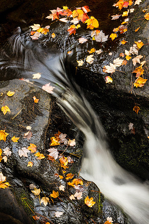 Ellis River Cascade, Maine