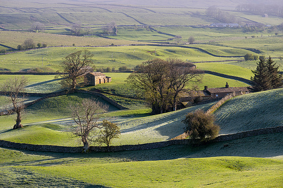 Wensleydale