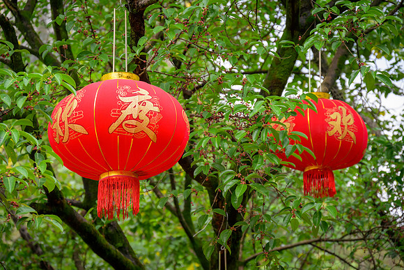 Chinese Lanterns, Guilin