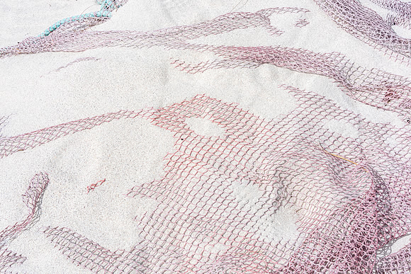 Snakeskin ?